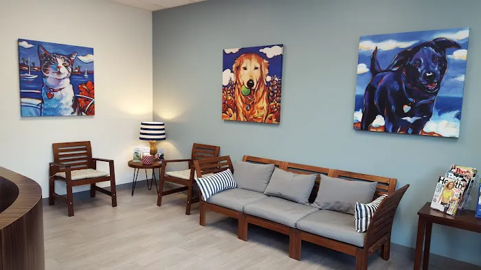 Pacific Coast Veterinary Dentistry & Oral Surgery 12