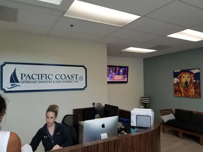 Pacific Coast Veterinary Dentistry & Oral Surgery 12