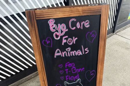 Eye Care for Animals - San Marcos