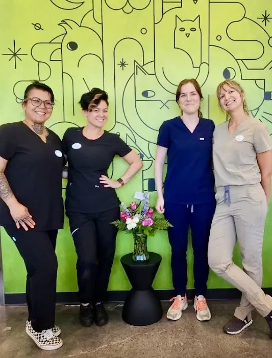 Eye Care for Animals - San Marcos 12