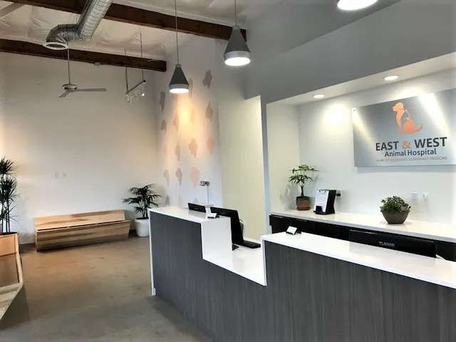 East & West Animal Hospital - San Marcos 12