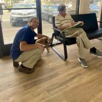 San Marcos Blvd Veterinary Hospital & Urgent Care - Emergency Vet ico