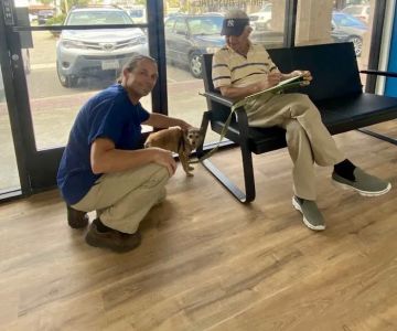 San Marcos Blvd Veterinary Hospital & Urgent Care - Emergency Vet