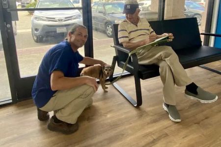 San Marcos Blvd Veterinary Hospital & Urgent Care - Emergency Vet