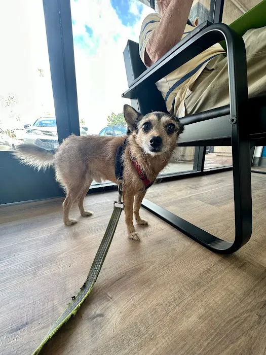 San Marcos Blvd Veterinary Hospital & Urgent Care - Emergency Vet 12