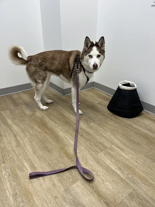 Twin Oaks Animal Hospital 12