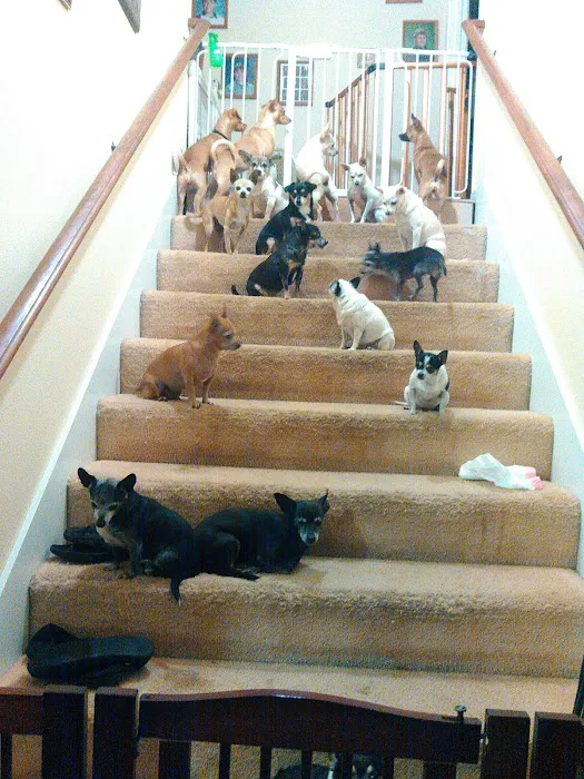 Discovery Valley Animal Hospital 12