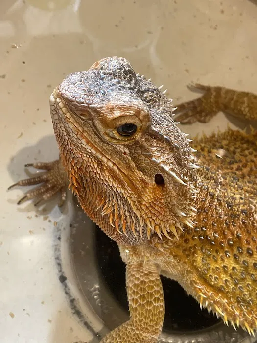 Discovery Valley Animal Hospital 12