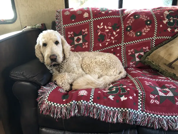 Vetco Total Care Animal Hospital 12