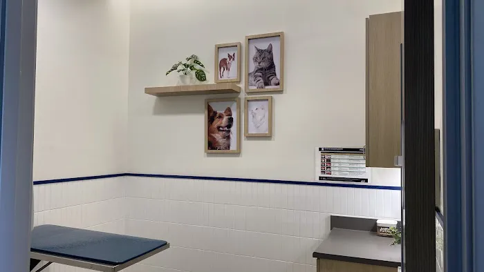 Vetco Total Care Animal Hospital 12