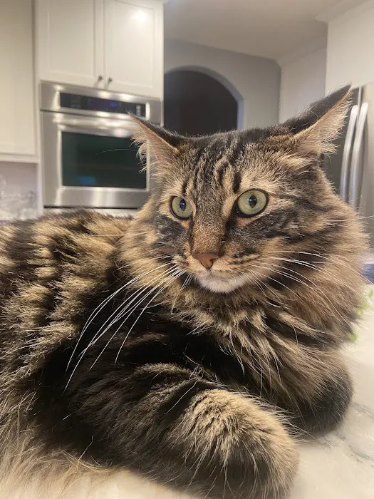 Vetco Total Care Animal Hospital 12