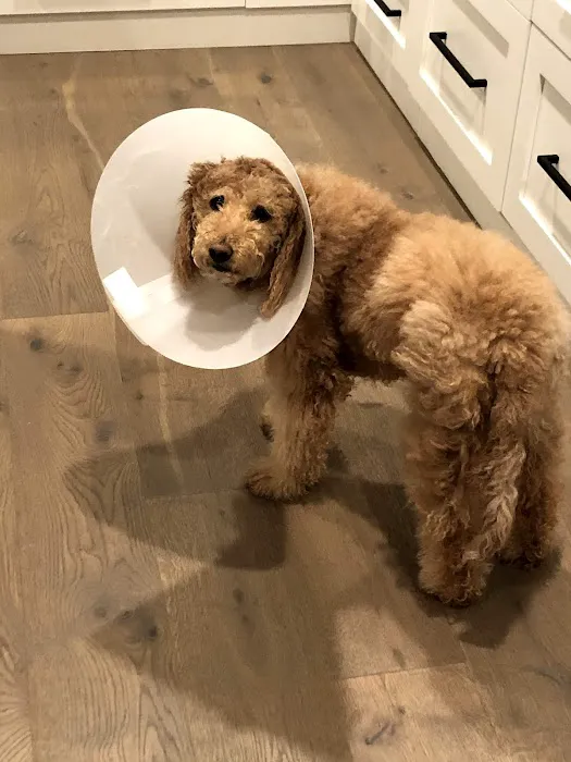 San Marcos Veterinary Clinic 12