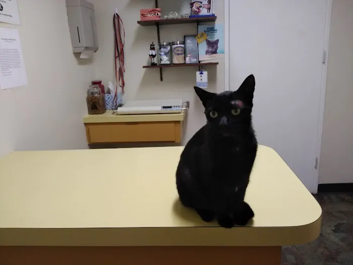 San Marcos Veterinary Clinic 12