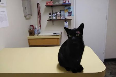 San Marcos Veterinary Clinic