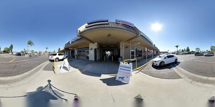 San Marcos Veterinary Clinic 12