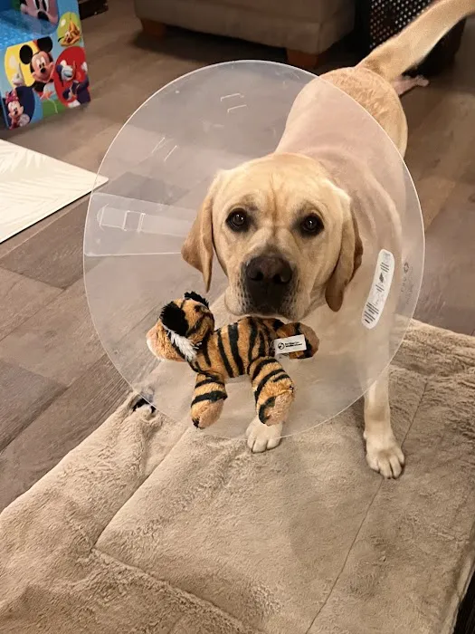 San Marcos Veterinary Clinic 12