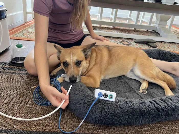 SoCal Mobile Veterinary Care 12