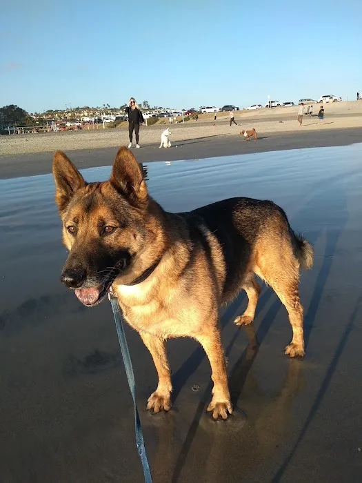 SoCal Mobile Veterinary Care 12
