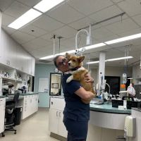 Animal Urgent Care ico