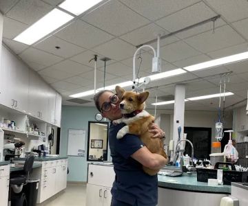 Animal Urgent Care