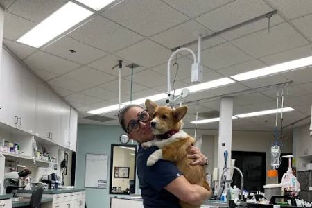 Animal Urgent Care