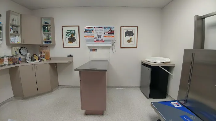Point Loma Veterinary Clinic 12