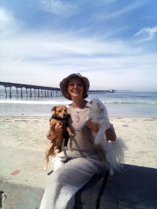 Point Loma Veterinary Clinic 12