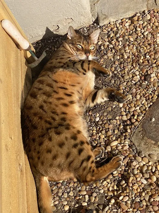 Point Loma Veterinary Clinic 12