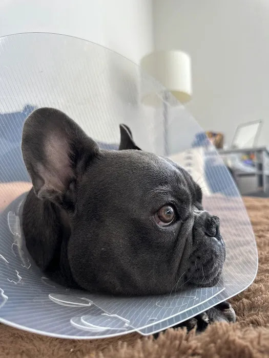 Sunset Cliffs Animal Hospital 12