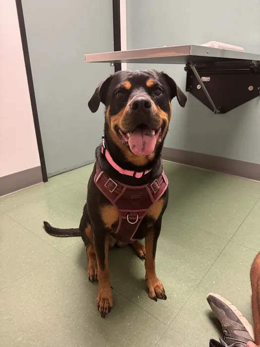 Sunset Cliffs Animal Hospital 12