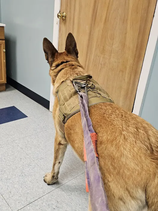 Morris Veterinary Hospital, PC 12