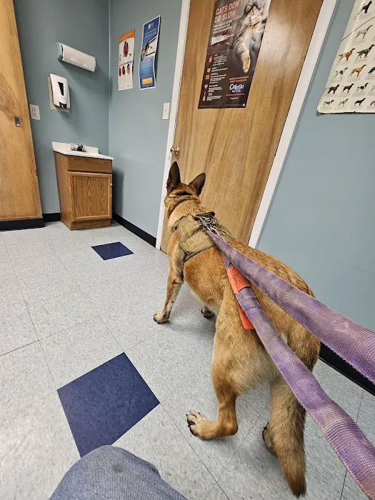 Morris Veterinary Hospital, PC 12