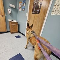 Morris Veterinary Hospital, PC ico