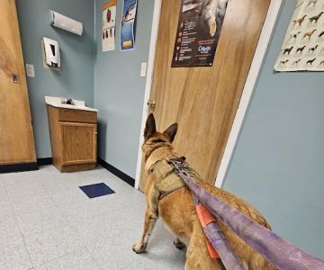 Morris Veterinary Hospital, PC