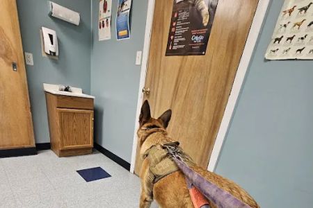 Morris Veterinary Hospital, PC