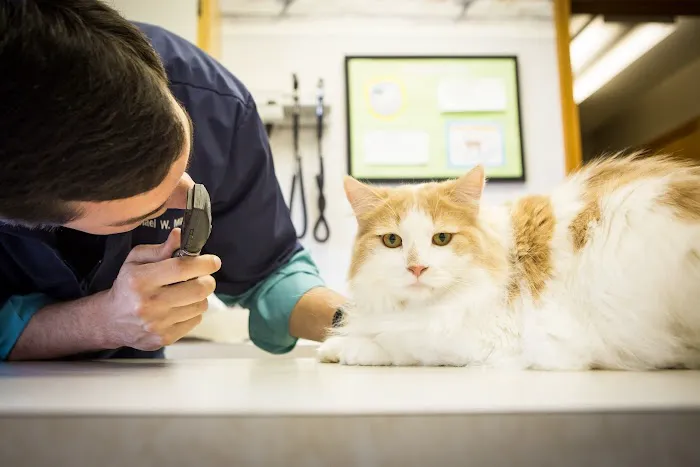 Lakewood Animal Hospital 12