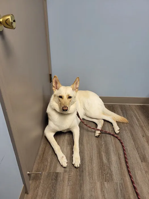Lakewood Animal Hospital 12