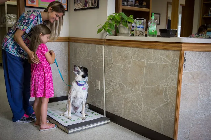 Lakewood Animal Hospital 12