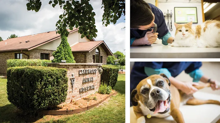 Lakewood Animal Hospital 12