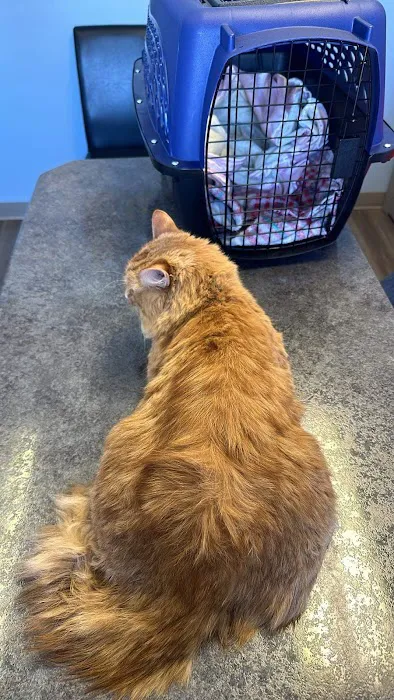 Lakewood Animal Hospital 12