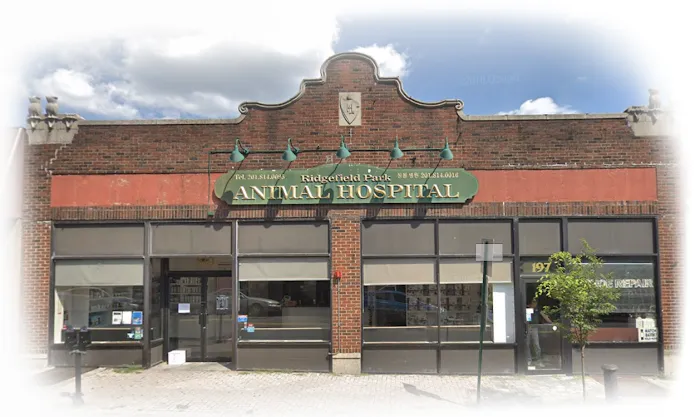 Ridgefield Park Animal Hospital 7