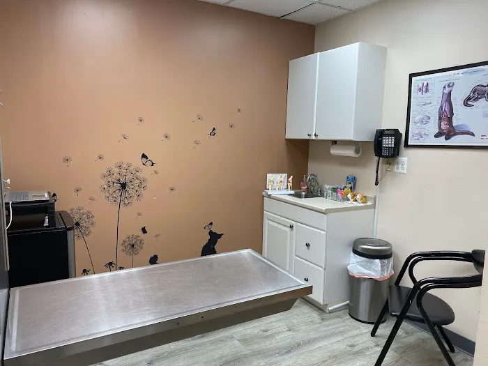 Ridgefield Park Animal Hospital 1