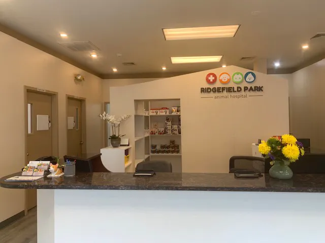 Ridgefield Park Animal Hospital 2