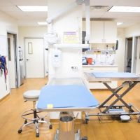 Teaneck Animal Clinic and Spa ico