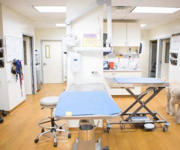 Teaneck Animal Clinic and Spa