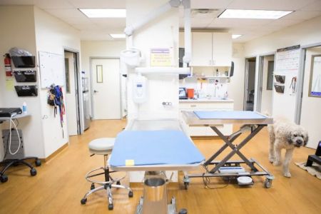 Teaneck Animal Clinic and Spa