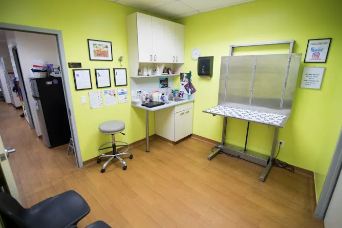 Teaneck Animal Clinic and Spa 12