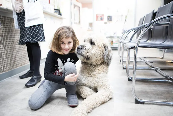 Teaneck Animal Clinic and Spa 12