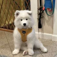 Bergen Veterinary Hospital ico