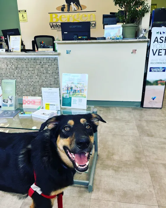 Bergen Veterinary Hospital 12